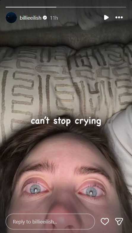 Billie Eilish IG Story